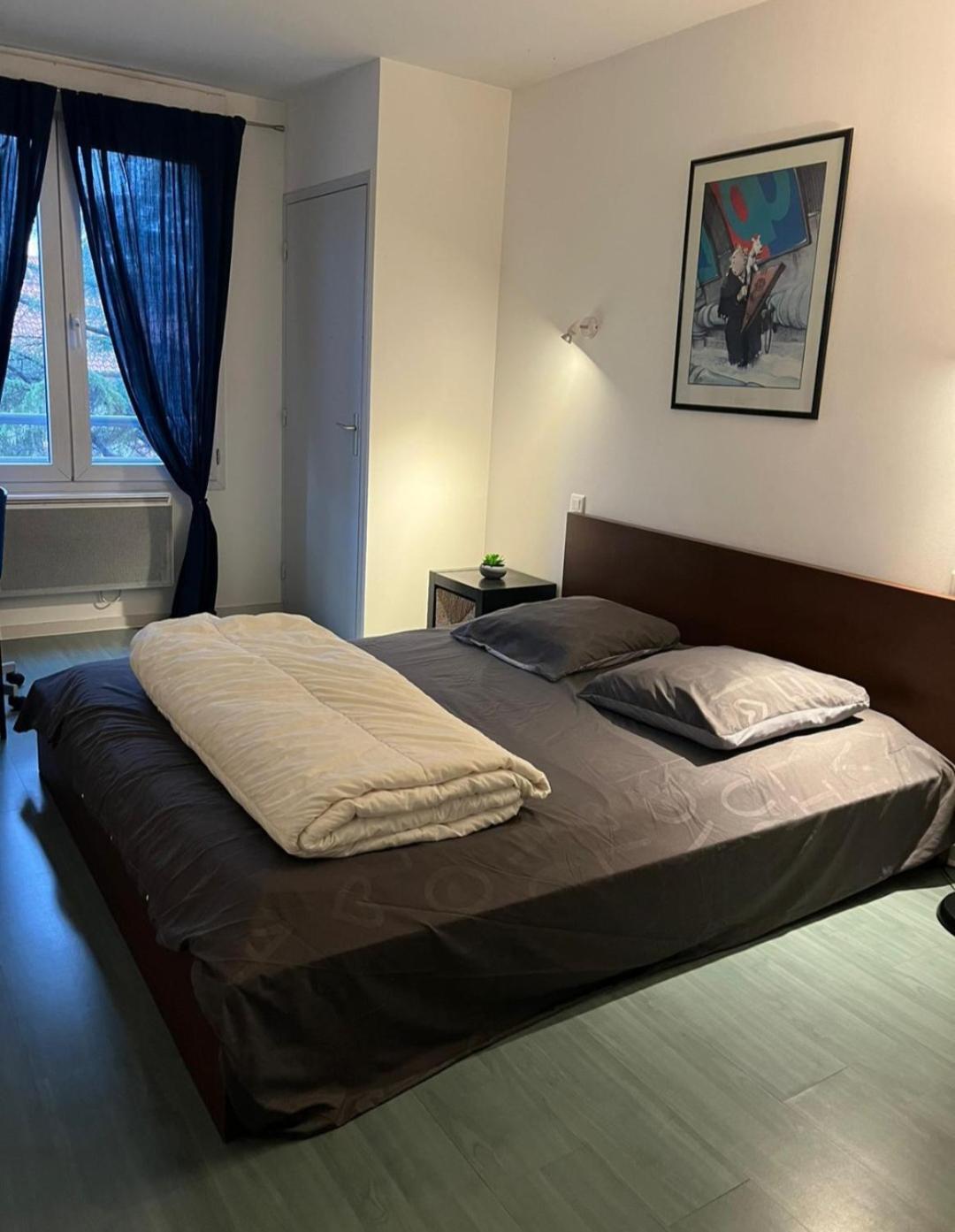 115 Rue Vauban Lägenhet Lyon Exteriör bild